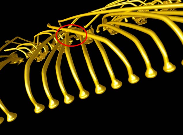 3D-X-Ray-wire-bonding-short