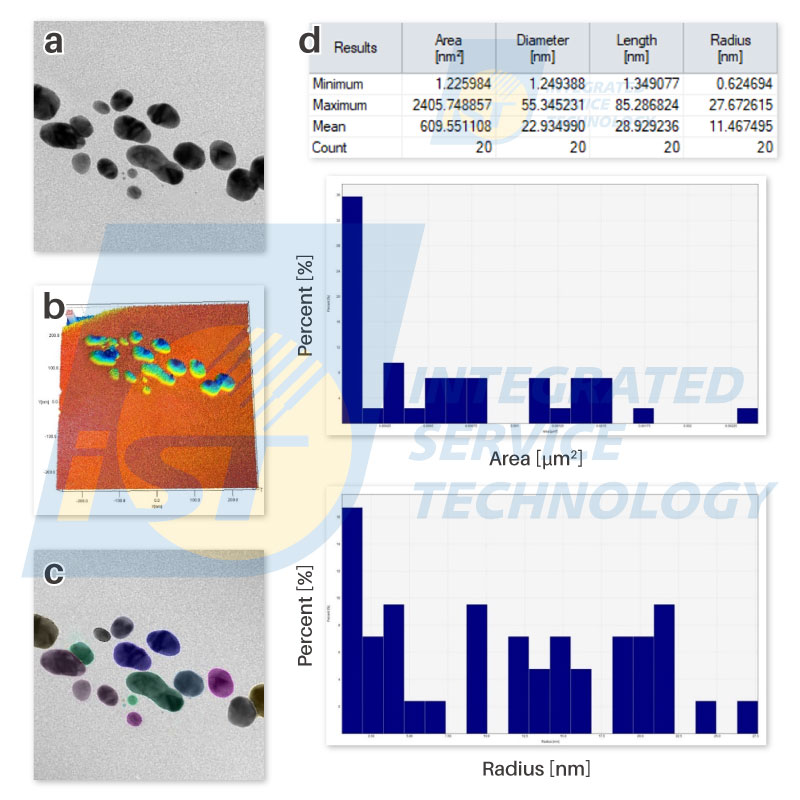 The nanoparticle analysis showed by TEM combined with the auto metrology software