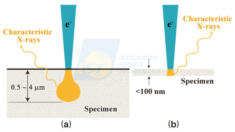 Intelligent Interpretation of EM/EDS Signals